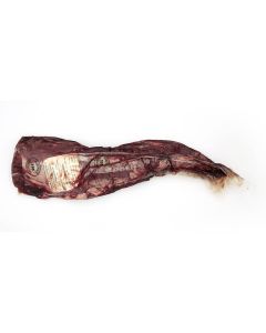 Beef Tenderloin  