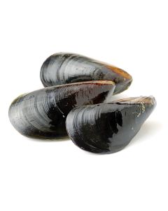 Mussels Whole Shell Frozen 1Kg 