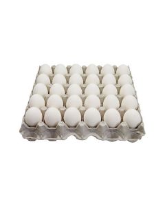 Egg Whole White 