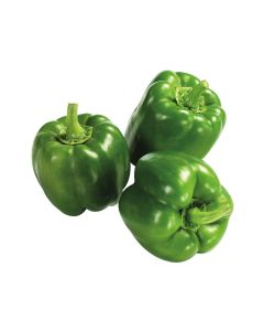Capsicum Green  