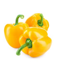 Capsicum Yellow  