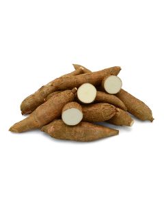 Tapioca 