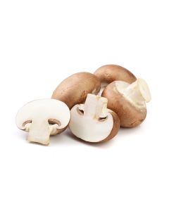 Mushroom Brown  