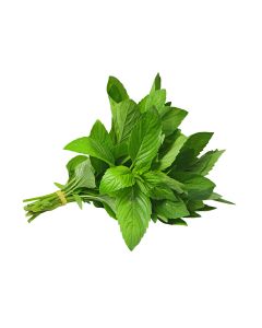 Mint 