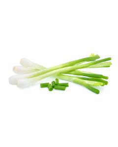 Spring Onion 