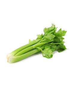 Celery  