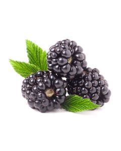 Blackberry 