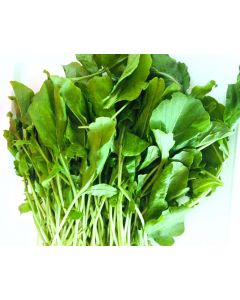 LETTUCE ROCKET