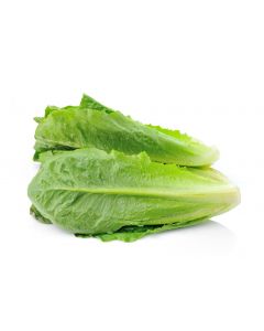 LETTUCE COS