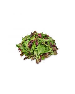 LETTUCE MESCULIN