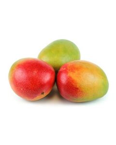 Mango Egypt